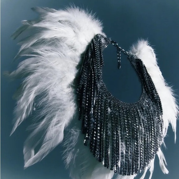NWOT. Zara Feather Rhinestone Fringe Choker Necklace. - Picture 4 of 8